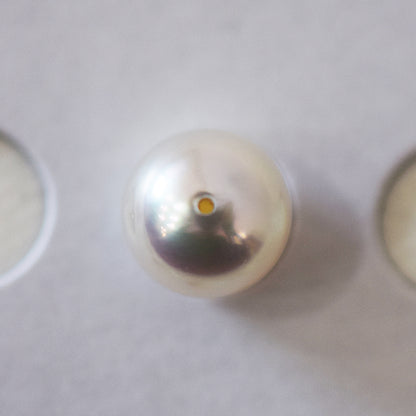 A rank 8.4mm Natural 1pc akoya pearl Loose 1pc From Japan Japanese Seawater pearl akoyapearl reenspearl あこや真珠