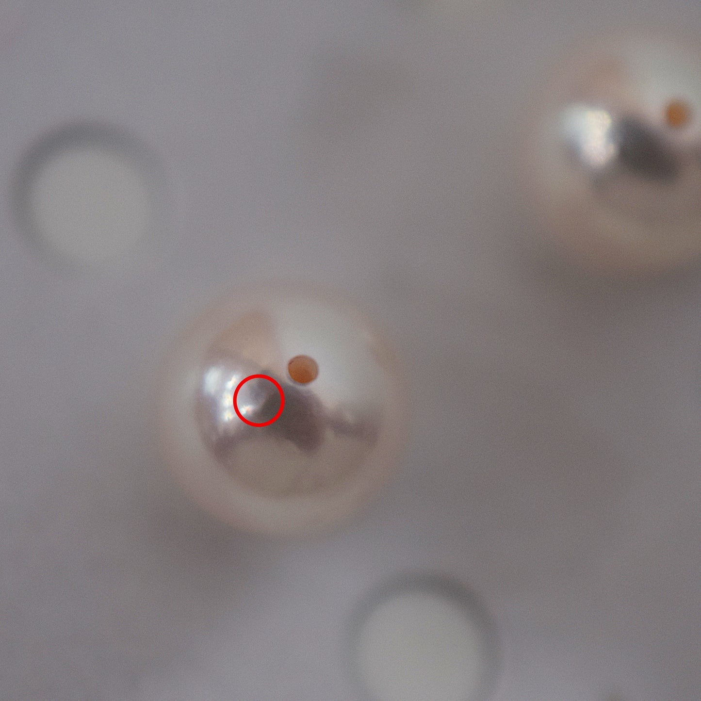 AAA rank 8mm - 8.5mm White pink tennyo color Akoya Pearl Earring Japan Japanese Seawater pearl reenspearl 18K 14K akoyapearl 1pair 2pc