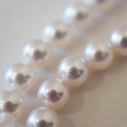 Actual product Hanadama rank white pink 6.5mm - 7mm Sea Real Akoya pearl strand choker necklace Japan Japanese Seawater Silver925