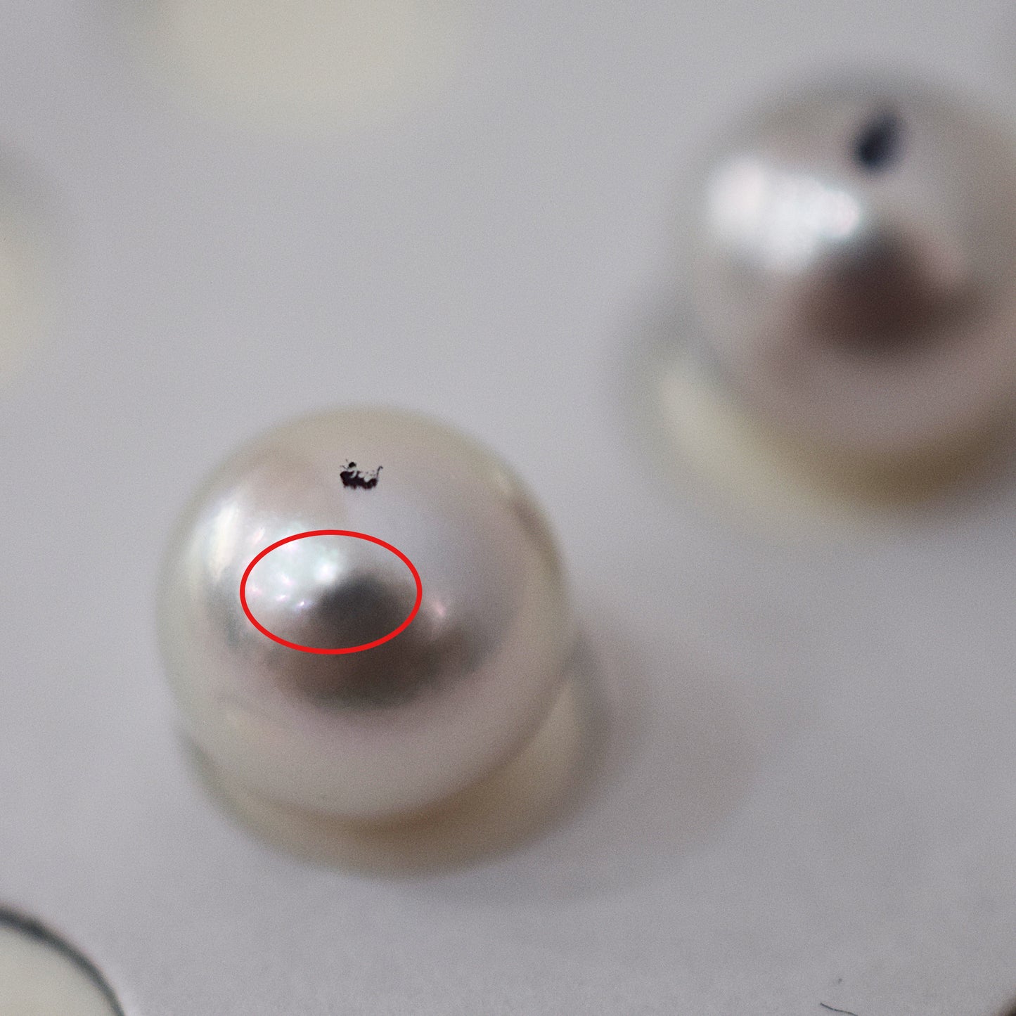 A rank Natural color 8mm -  8.5mm 1pair 2pc Loose Real akoya pearl Japan Japanese Seawater reenspearl あこや 真珠 日本