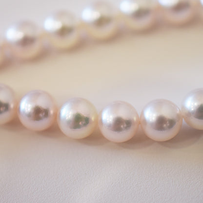 Actual product Hanadama rank white pink 7mm - 7.5mm Sea Real Akoya pearl strand choker necklace Japan Japanese Seawater Silver925