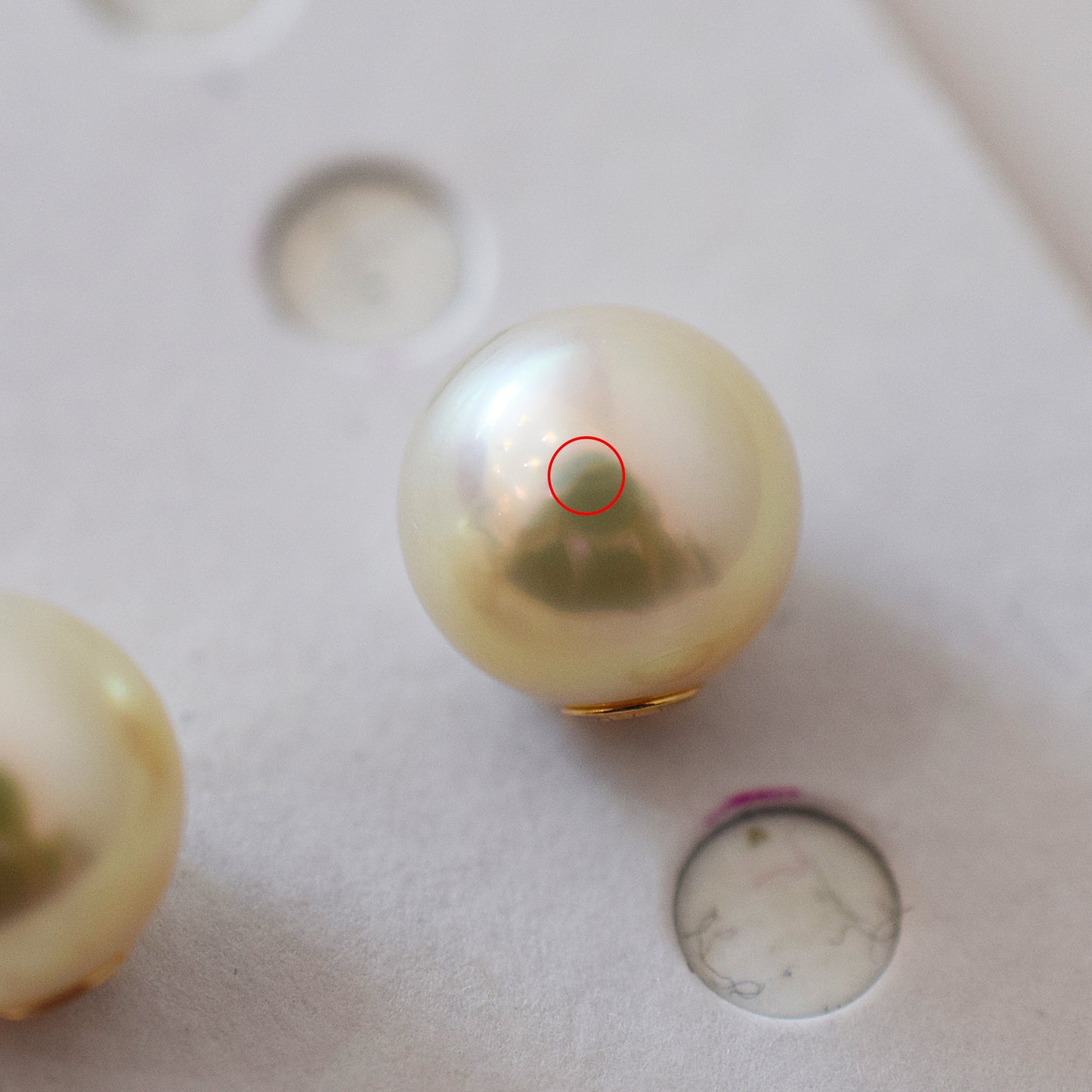 <SALE> Limited to actual item 9mm - 9.5mm Natural color Sea Real Akoya Pearl Earring back Only K18 Japanese akoyapearl reenspearl 日本 天草 真珠 あこや