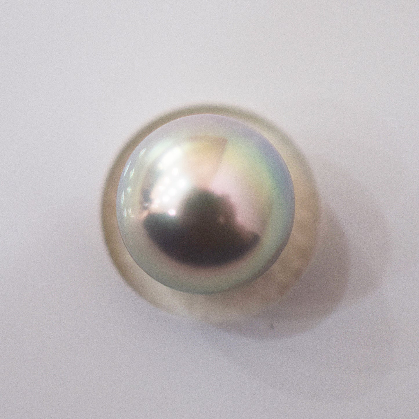 Actual product Blue Rose Certificate from the Pearl Science Laboratory Natural color Loose 7.9mm Akoya Earring Japan Seawater akoyapearl SK-440012