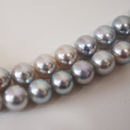 Limited to actual item Necklace Multi color Natural color Semi-round 8mm - 8.5mm Real Akoya Pearl Japan 16.1inch starand choker reenspearl