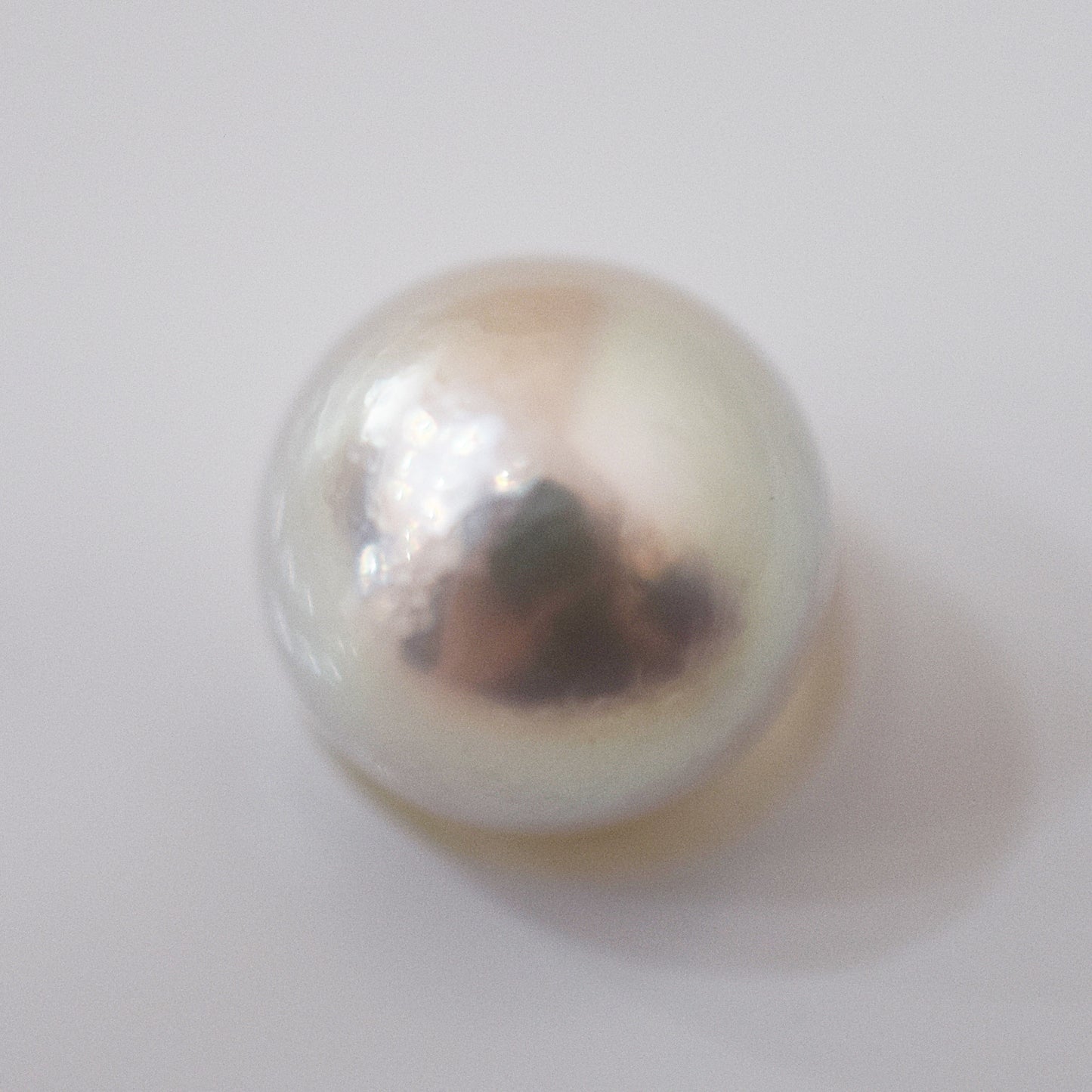 Actual product Rose Certificate from the Pearl Science Laboratory Natural color Loose 10.1mm Akoya Earring Japan Seawater akoyapearl SK-439548