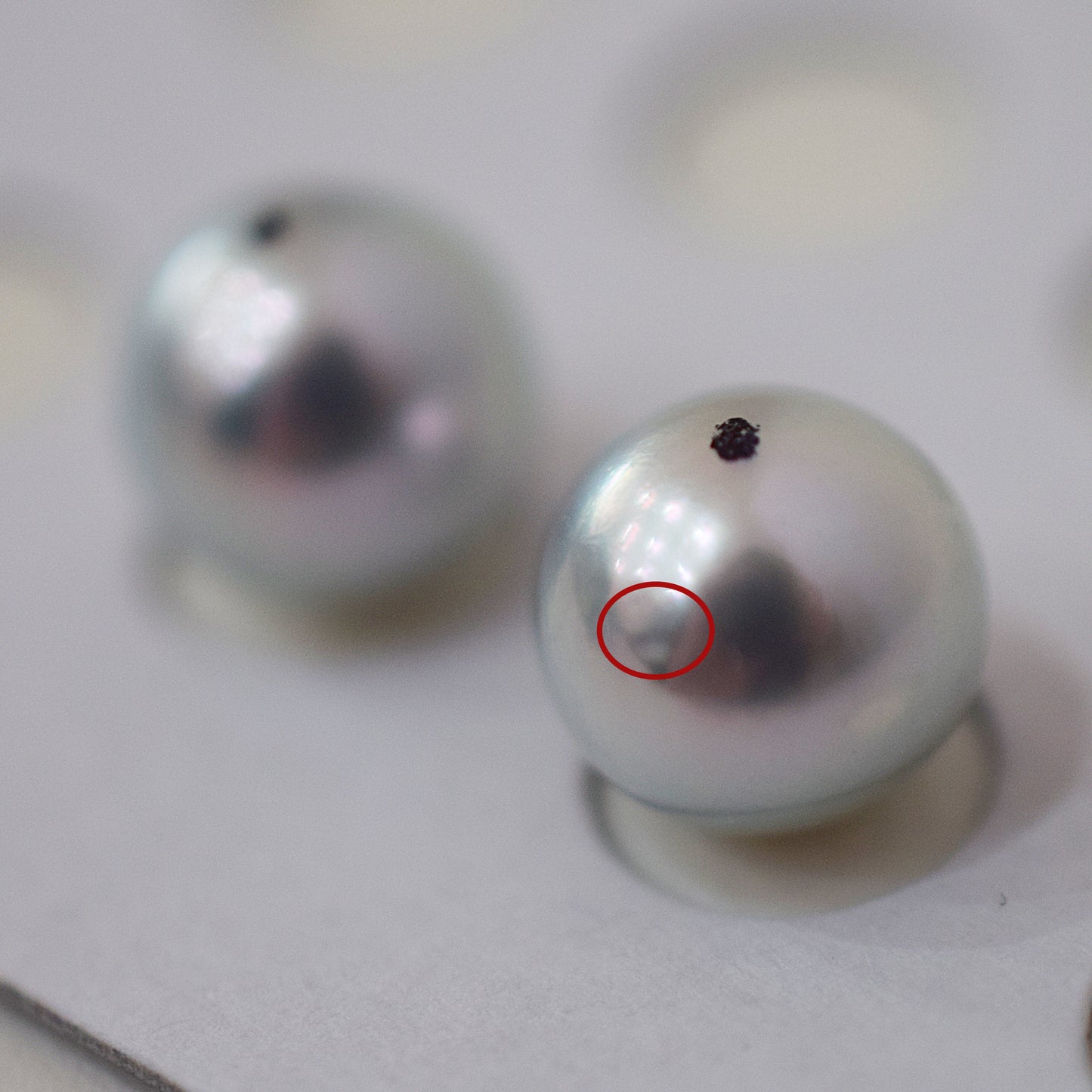 A rank Natural color 8.5mm -  9mm 1pair 2pc Loose Real akoya pearl Japan Japanese Seawater reenspearl あこや 真珠 日本