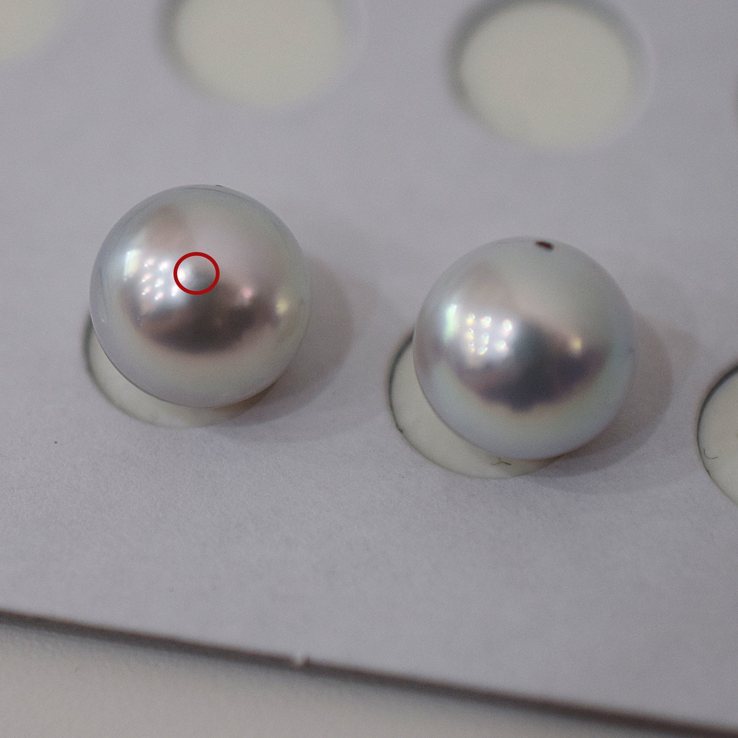 AAA rank Natural color 8.5mm -  9mm 1pair 2pc Loose Real akoya pearl Japan Japanese Seawater reenspearl あこや 真珠 日本