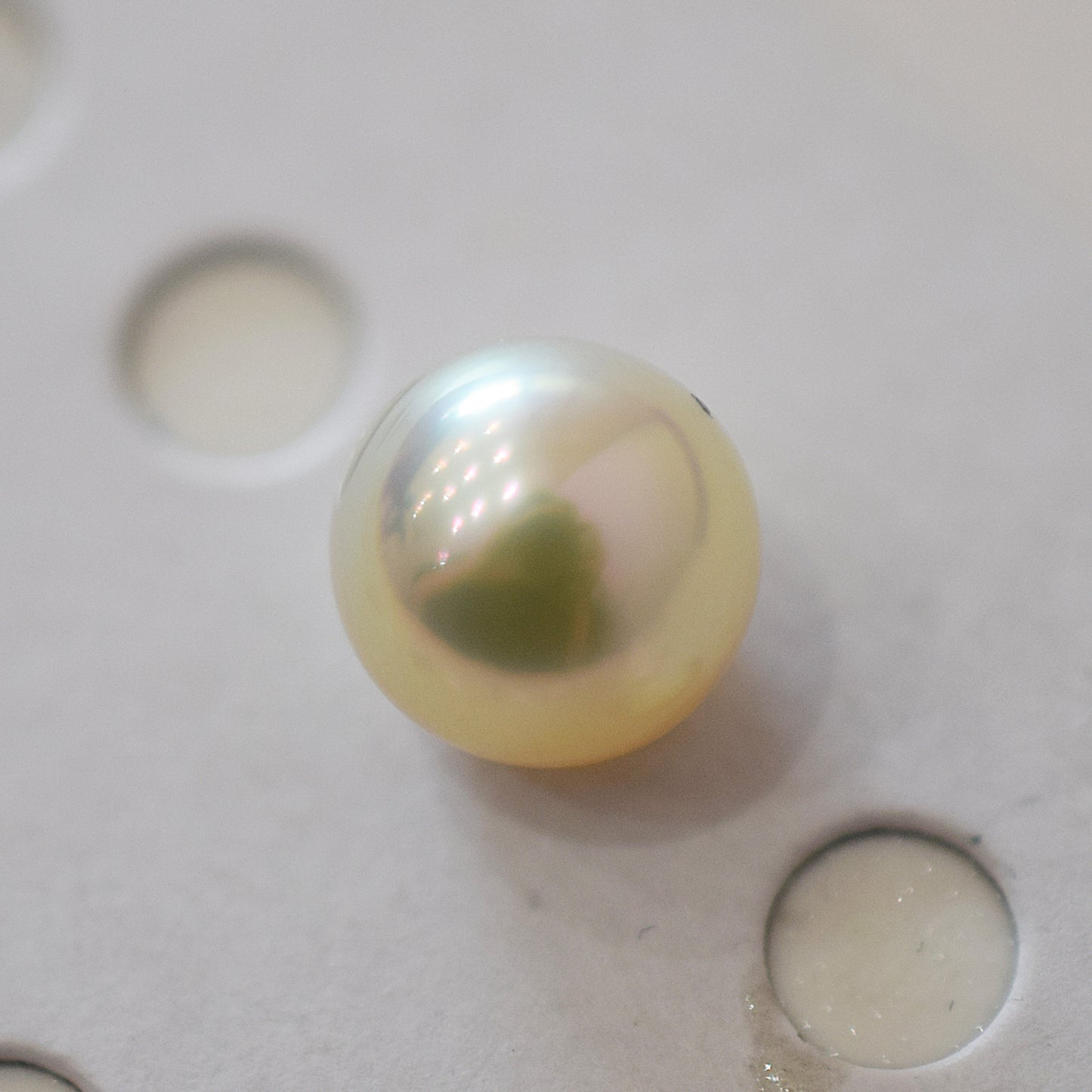 <Loose only> A rank 8.6mm Madama rank Natural 1pc Real Akoya Pearl Ring Ear cuff From Japan Japanese Seawater pearl akoyapearl reenspearl あこや真珠 日本