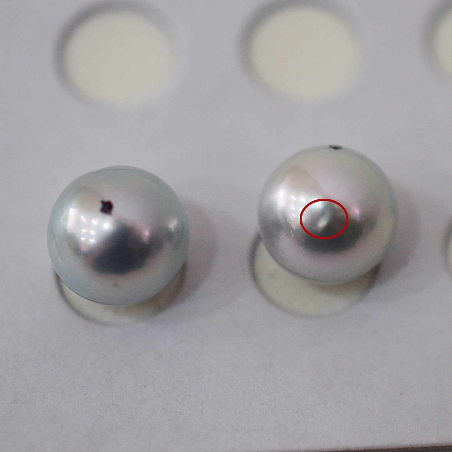 A rank Natural color 8.5mm -  9mm 1pair 2pc Loose Real akoya pearl Japan Japanese Seawater reenspearl あこや 真珠 日本