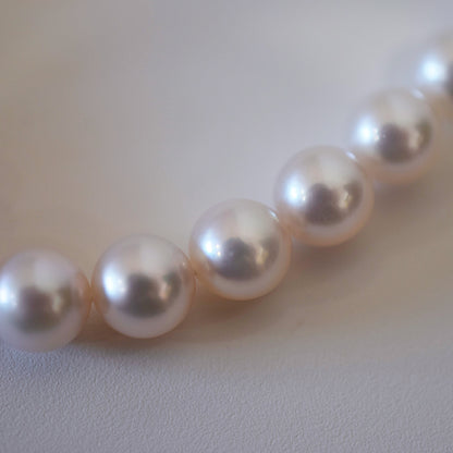 Actual product Hanadama rank white pink 8mm - 8.5mm Sea Real Akoya pearl strand choker necklace Japan Japanese Seawater Silver925