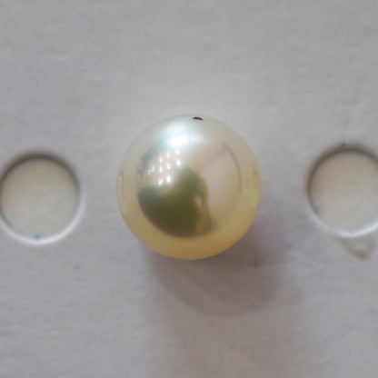 <Loose only> A rank 8.6mm Madama rank Natural 1pc Real Akoya Pearl Ring Ear cuff From Japan Japanese Seawater pearl akoyapearl reenspearl あこや真珠 日本