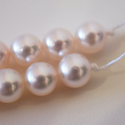 Actual product Hanadama rank white pink 7mm - 7.5mm Sea Real Akoya pearl strand choker necklace Japan Japanese Seawater Silver925