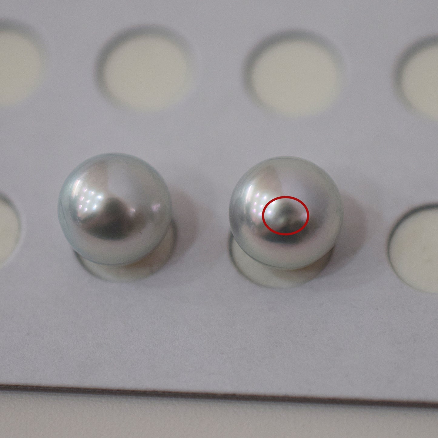 A rank Natural color 8.5mm -  9mm 1pair 2pc Loose Real akoya pearl Japan Japanese Seawater reenspearl あこや 真珠 日本