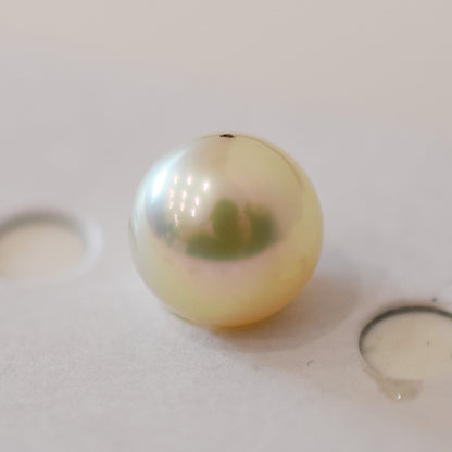 <Loose only> A rank 8.6mm Madama rank Natural 1pc Real Akoya Pearl Ring Ear cuff From Japan Japanese Seawater pearl akoyapearl reenspearl あこや真珠 日本